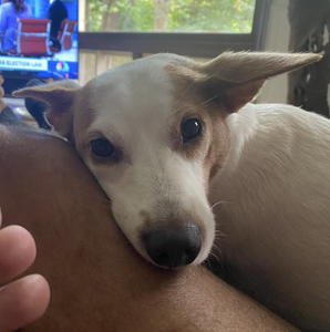 Fundraising Page: John Berberich